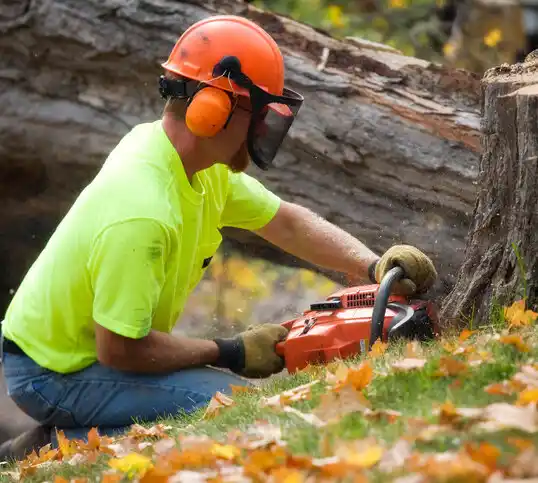 tree services Unionville